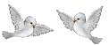 http://i29.servimg.com/u/f29/11/59/39/26/i1867310.gif