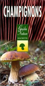 Champignons – Hachette- Guides Nature