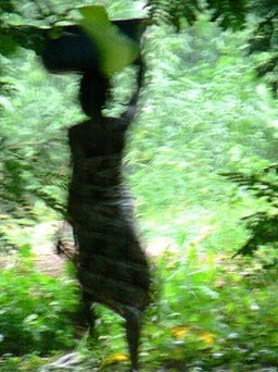 Psychomorphoses