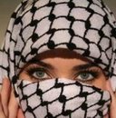لا مساهمات جديدة لا مساهمات جديدة