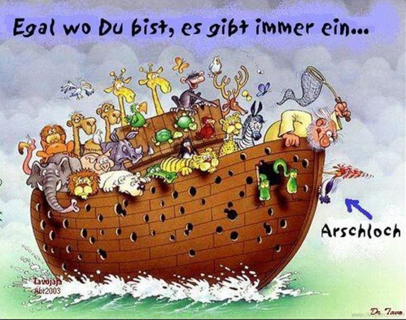folie112.jpg
