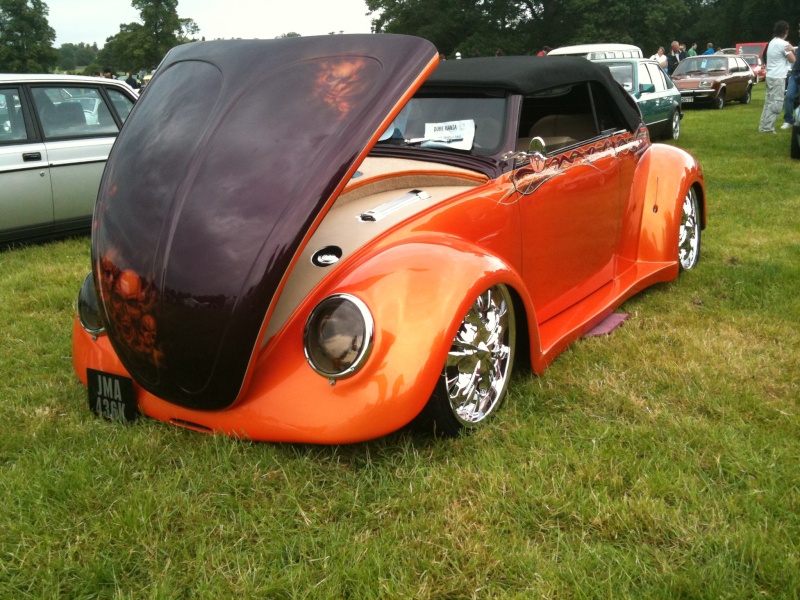 beetle11.jpg