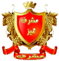 مشرف مميز و مراقب مشرف مميز و مراقب