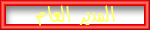 المدير العام المدير العام
