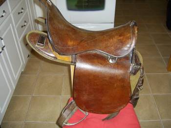 pushys saddles